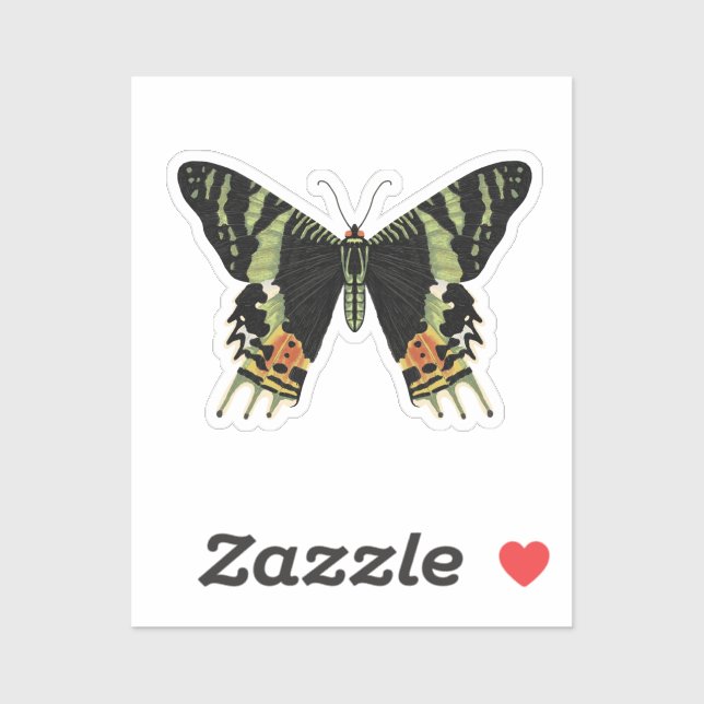 Sticker Malgache Tsunset Moth (Feuille)
