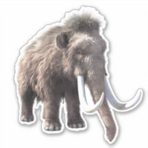 Mammoth laineux