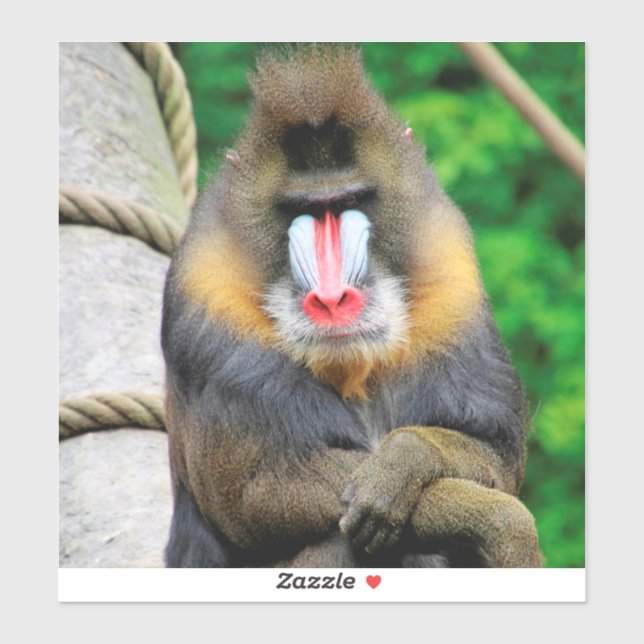 Sticker Mandrill 001 (Feuille)