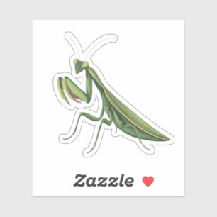 Sticker Mantis de prière illustrée