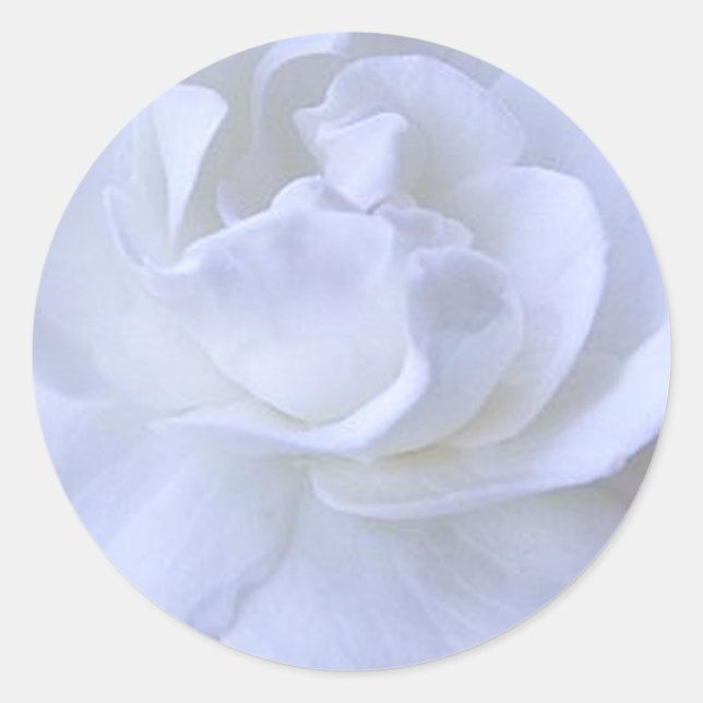 Sticker Mariage Rose blanche (Devant)