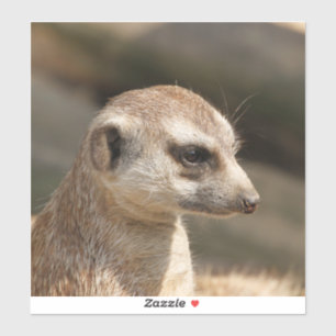 Sticker Meerkat 048