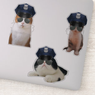 Sticker Mèmes de chats amusants