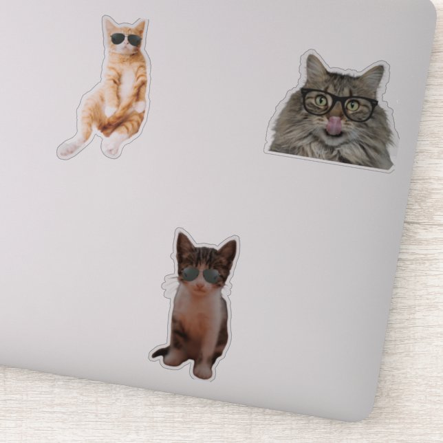 Sticker Mèmes de chats cool (Détail)