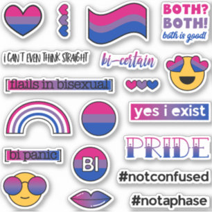 Sticker Mèmes de drapeau bisexuel