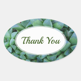 Sticker Merci Plante Succulent de Green Haworth