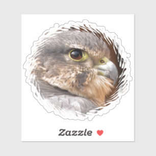 STICKER MERLIN FALCON OISEAU DE PREY