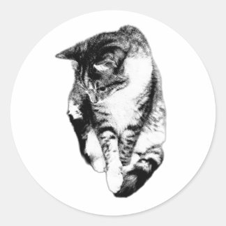 Sticker Monochrome Tabby Cat