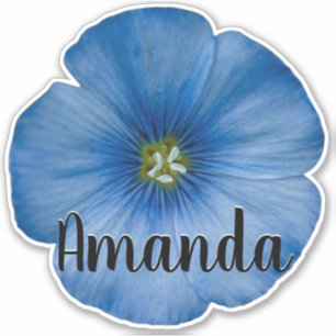 Sticker Monogramme bleu Nom Fleur Nature Plante jolie