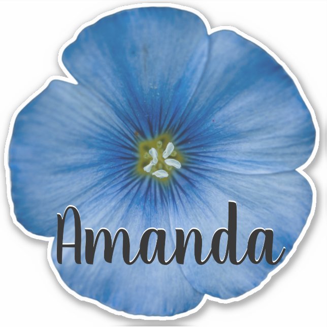 Sticker Monogramme bleu Nom Fleur Nature Plante jolie (Devant)