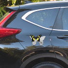 Monogramme de l'ombre des papillons jamaïcains