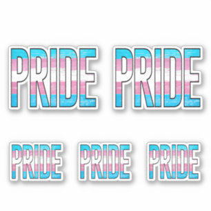 Sticker Mot du Fierté Trans