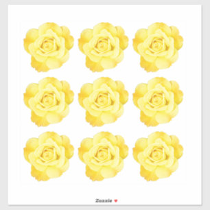 Sticker Motifs Floraux Rose Jaune Décoratif Coloré