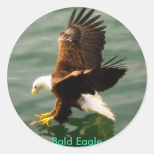 Sticker Motivationnel Eagle de pêche