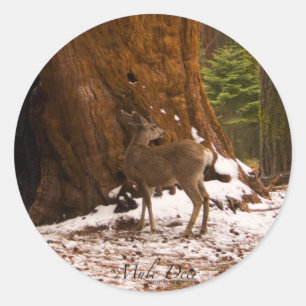 Sticker Mule Deer