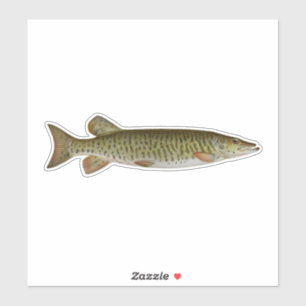 Sticker Musky - Pêche en eau douce