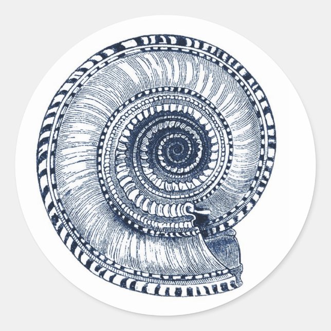 Sticker Navy Blue Sea Shell (Devant)