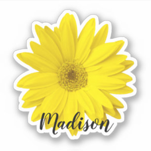 Sticker Nom de la fleur de marguerite jaune