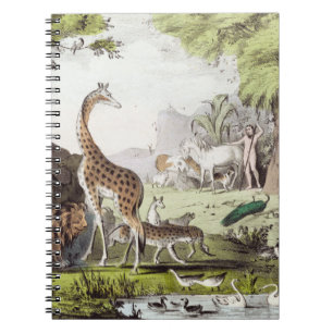 Sticker Notebook