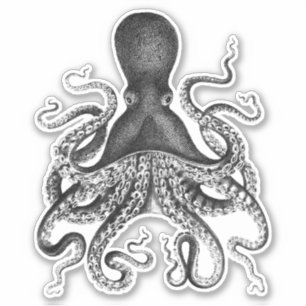 Sticker Octopus vintage