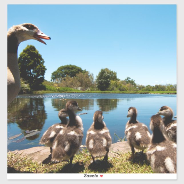 Sticker Oie égyptienne (Feuille)