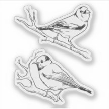 Oiseaux dessinés à la main noir et blanc Modernité
