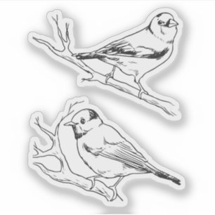 Sticker Oiseaux dessinés main noir & blanc Moderne naturel