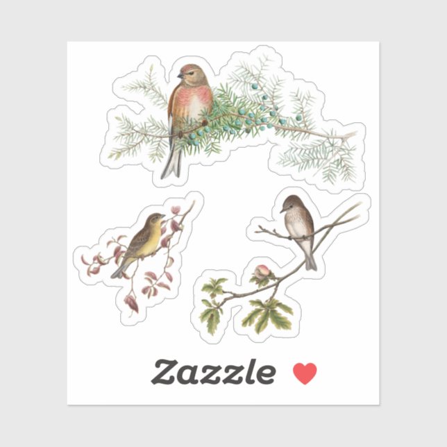 Sticker Oiseaux vintages (Feuille)