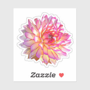 Sticker Ombre pâle Orange Rose Giant Dahlia Fleur