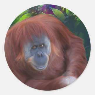 Sticker Orangutan