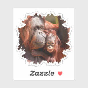 Sticker Orangutan bébé souriant dans les bras de la mère
