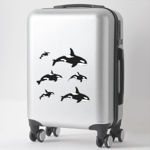 Sticker Orca Killer Whale Set
