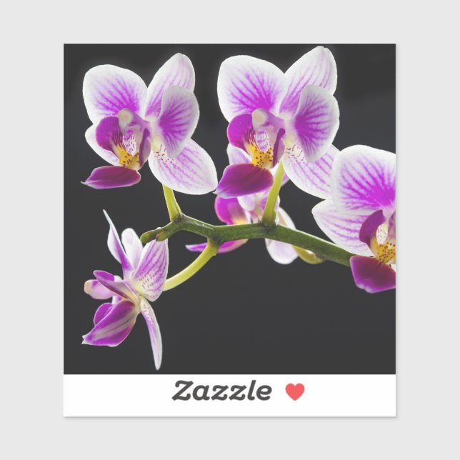 Sticker Orchidée blanche et violette (Feuille)