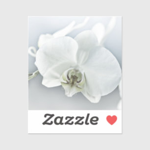 Sticker Orchidée blanche Phalaenopsis