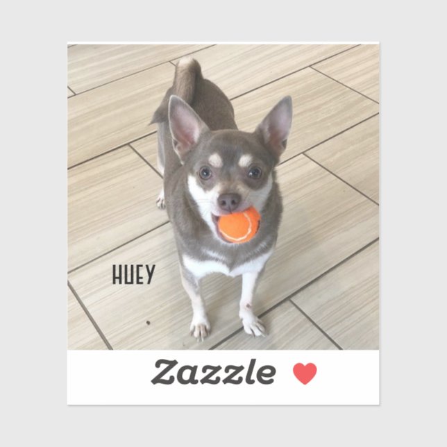 Sticker Ordinateur portable Huey (Feuille)