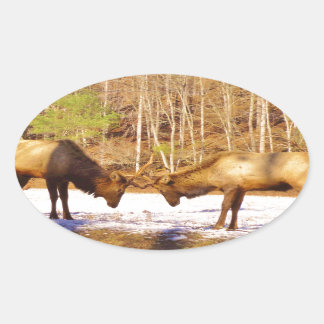 Sticker Ovale 2~ deux Bull Elk dans la neige
