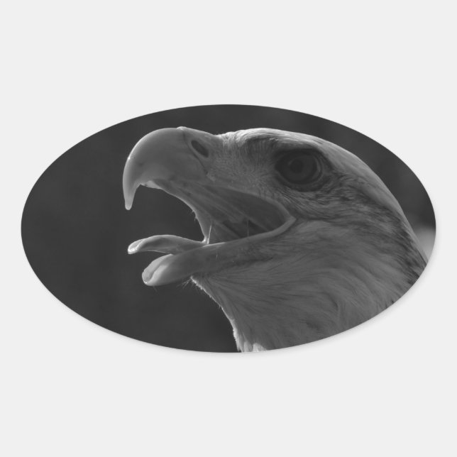 Sticker Ovale Aigle noir et blanc (Devant)