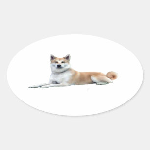 Sticker Ovale Akita (Akita Inu) - Couché