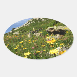 Sticker Ovale Amazing ! Alpine flowers