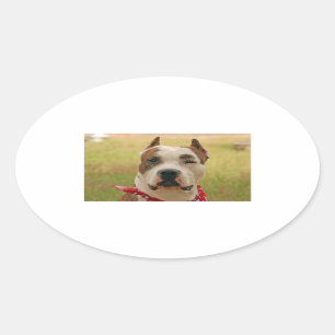 Sticker Ovale AmericanStafforshireTerrier 2.png