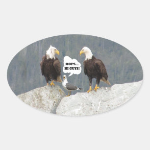 Sticker Ovale Amusants aigles et mouettes
