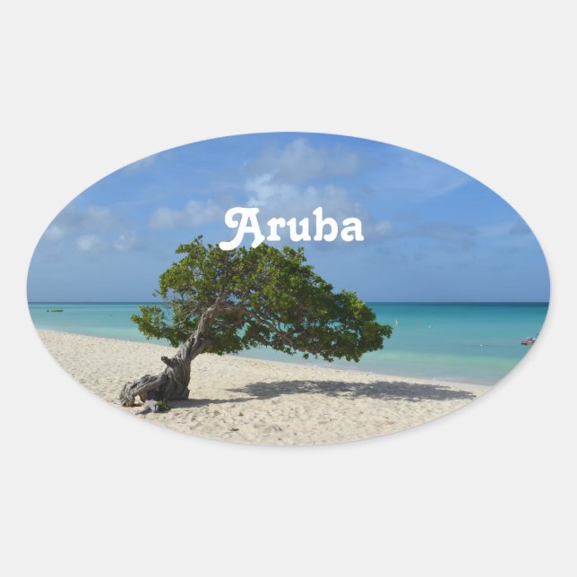 Sticker Ovale Aruba Divi Divi Tree (Devant)