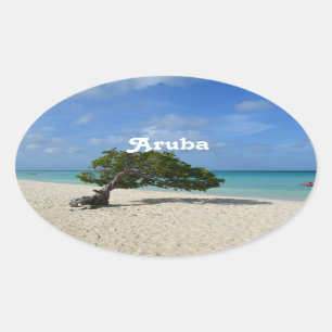 Sticker Ovale Aruba Divi Divi Tree