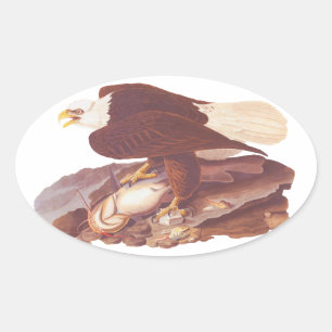 Sticker Ovale Audubon Eagle chauve majestueux avec le poisson