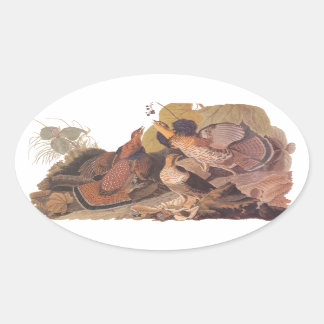 Sticker Ovale Audubon et le Grouse rouffé