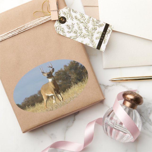 Sticker Ovale Automne Whitetail Buck (Cadeaux)