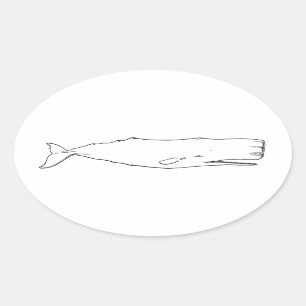 Sticker Ovale Baleine de Sperm (art linéaire)