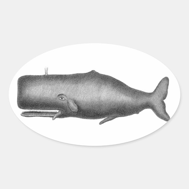 Sticker Ovale Baleine vintage (Devant)