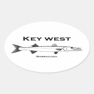 Sticker Ovale Barracuda de Key West