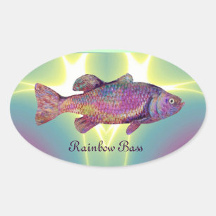 STICKER OVALE BASES COLORÉES EN COULEUR